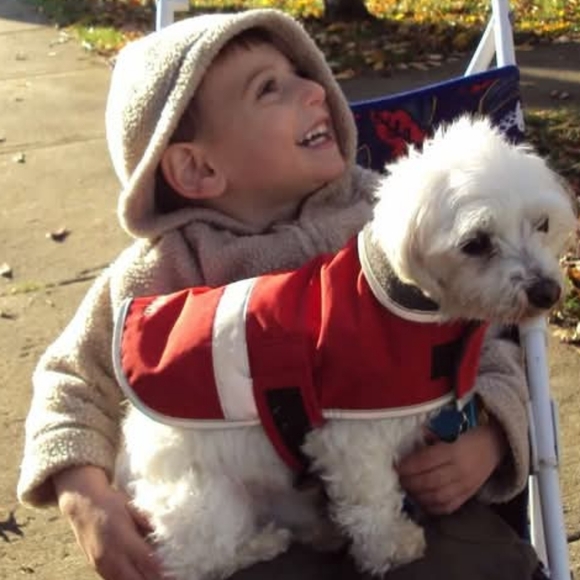 Dogs & Kids - Picture 16 of 16